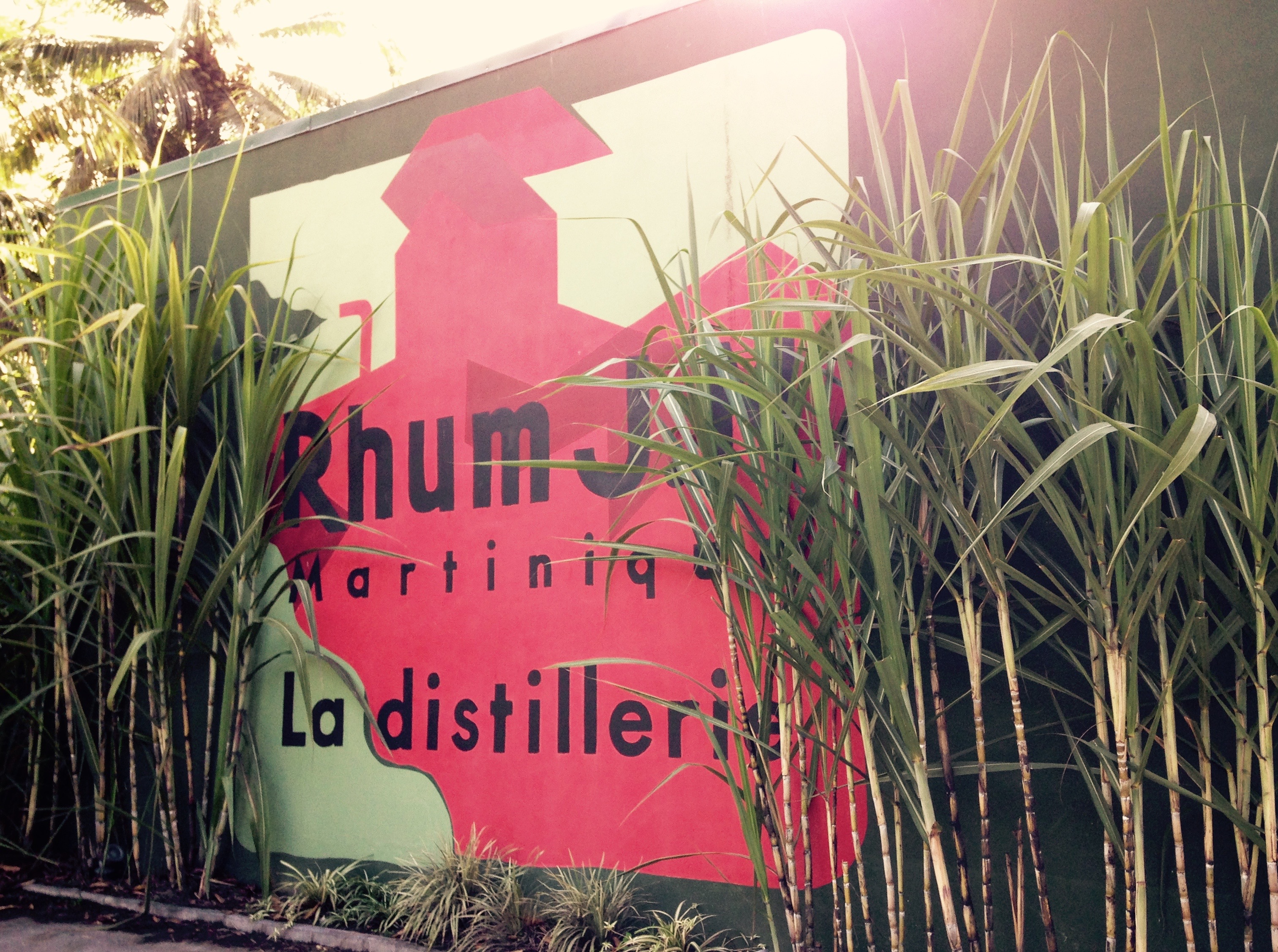 Rhum J.M.