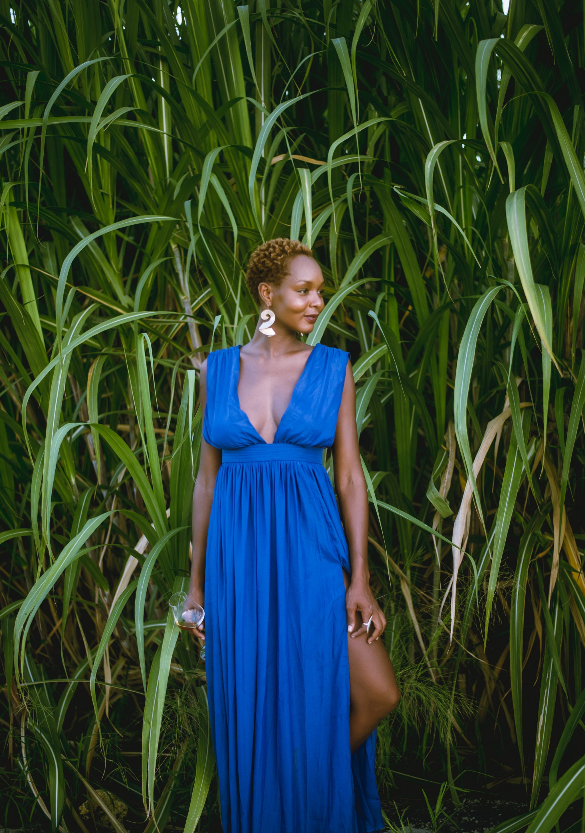 Glamour-suger cane field