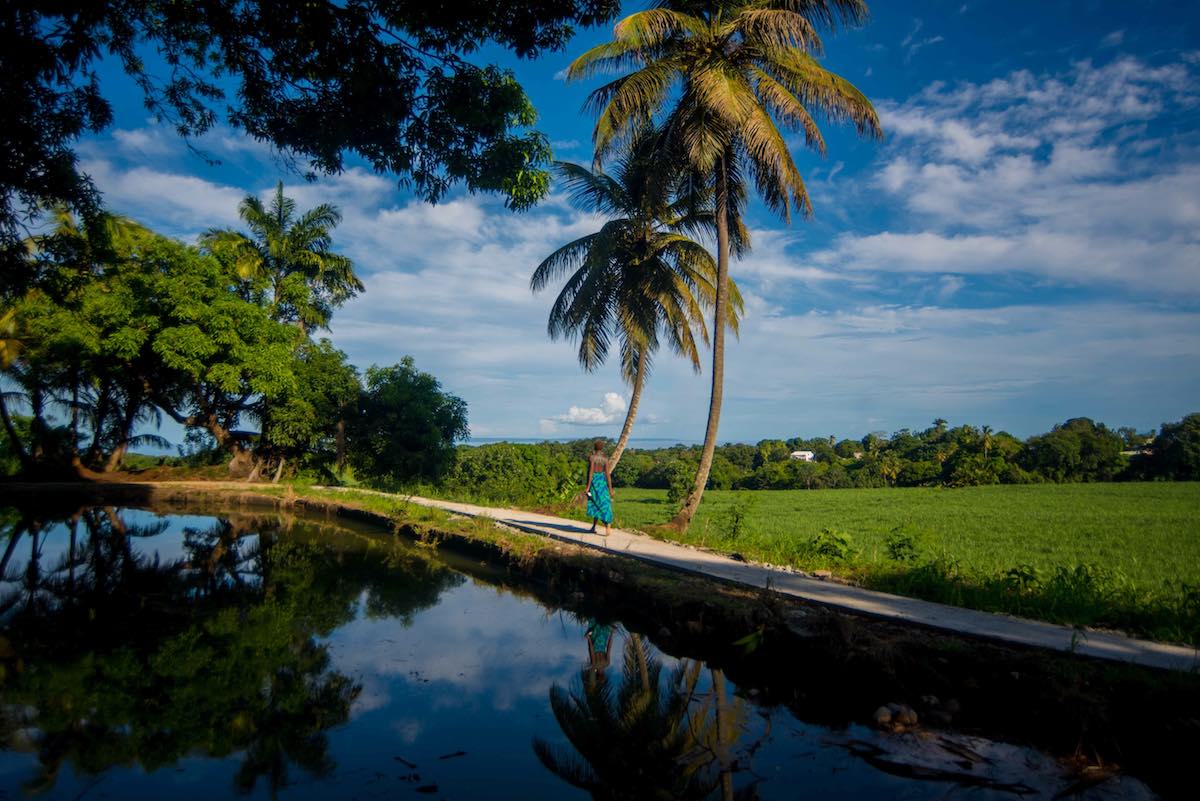 Voyages en Terres de Rhum