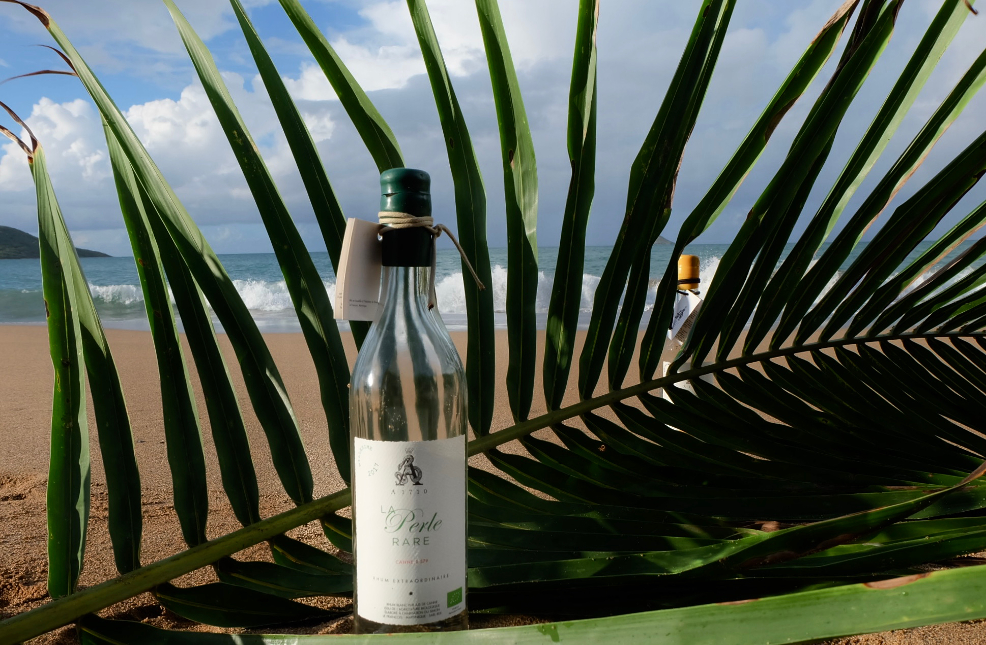 #11 Elégie secrète d’une « Goutte » de rhum